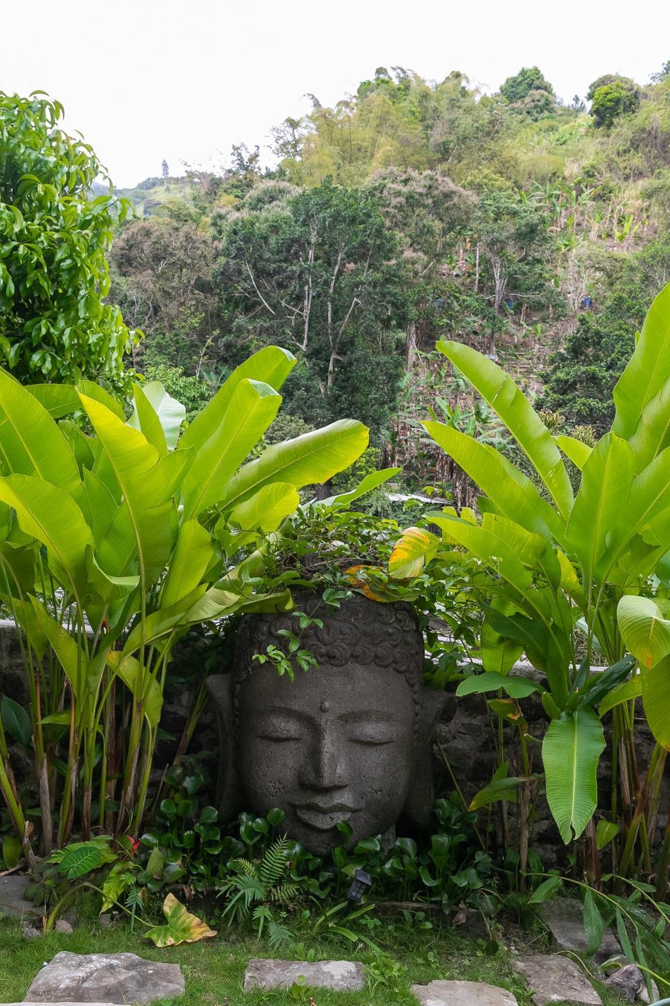 Serendipity Holistic Resort Spa Kingston Eksteriør bilde